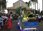 Nhà thờ Tân Phú